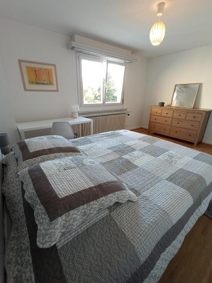 Rare A Colmar - Appartement Champ De Mars Vue Sur Parc - 70M2 - 2 Chambres Экстерьер фото