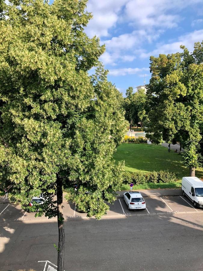 Rare A Colmar - Appartement Champ De Mars Vue Sur Parc - 70M2 - 2 Chambres Экстерьер фото