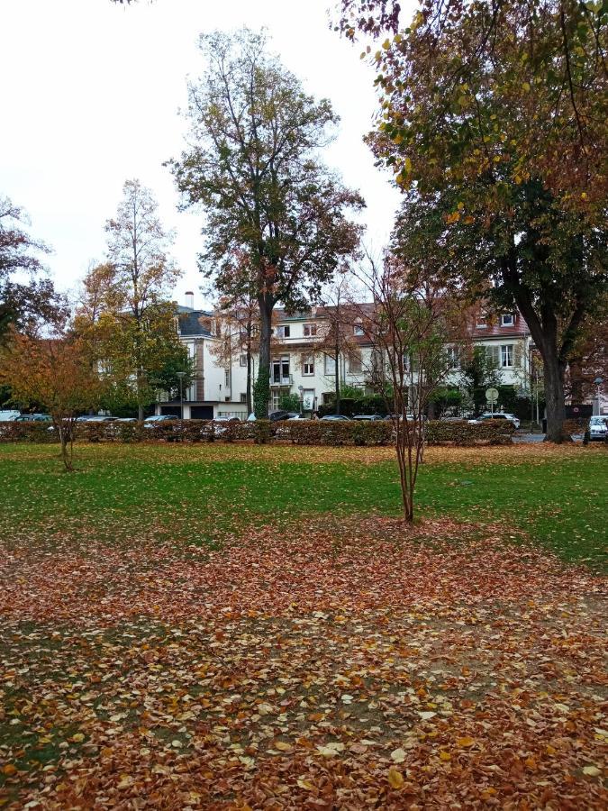 Rare A Colmar - Appartement Champ De Mars Vue Sur Parc - 70M2 - 2 Chambres Экстерьер фото