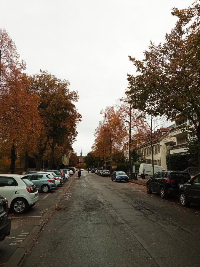 Rare A Colmar - Appartement Champ De Mars Vue Sur Parc - 70M2 - 2 Chambres Экстерьер фото