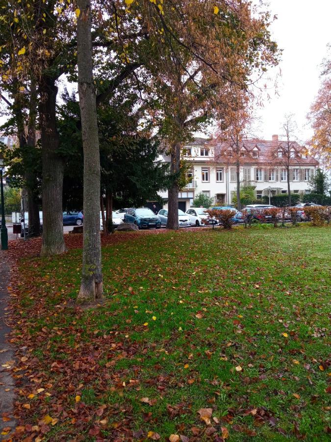 Rare A Colmar - Appartement Champ De Mars Vue Sur Parc - 70M2 - 2 Chambres Экстерьер фото