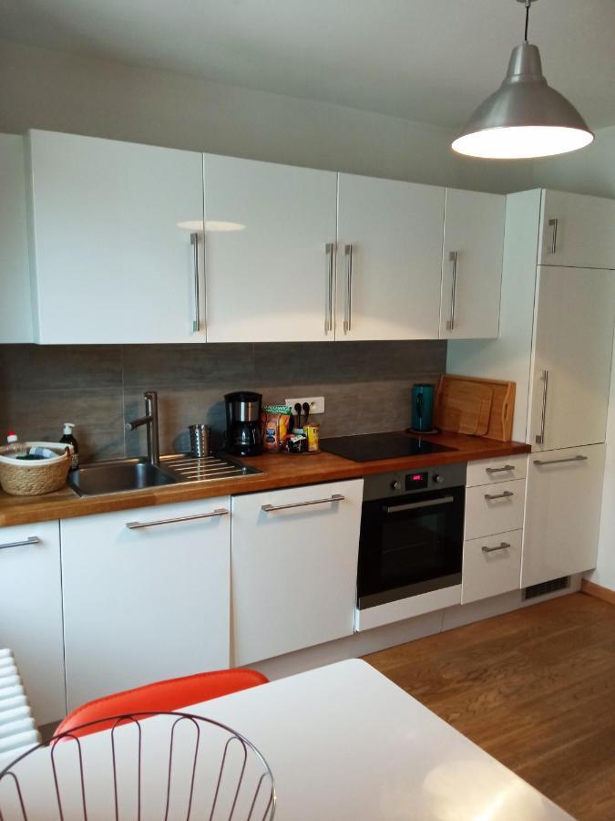 Rare A Colmar - Appartement Champ De Mars Vue Sur Parc - 70M2 - 2 Chambres Экстерьер фото