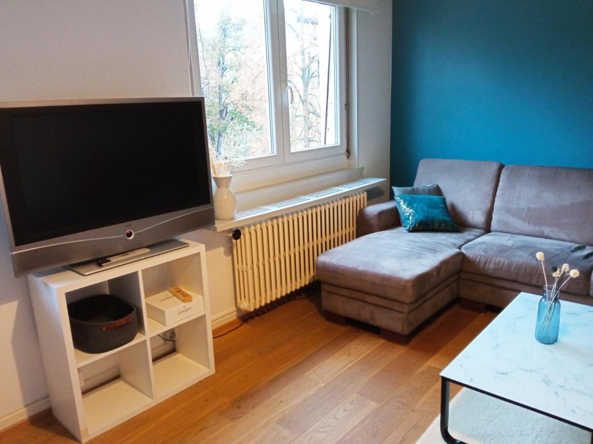 Rare A Colmar - Appartement Champ De Mars Vue Sur Parc - 70M2 - 2 Chambres Экстерьер фото