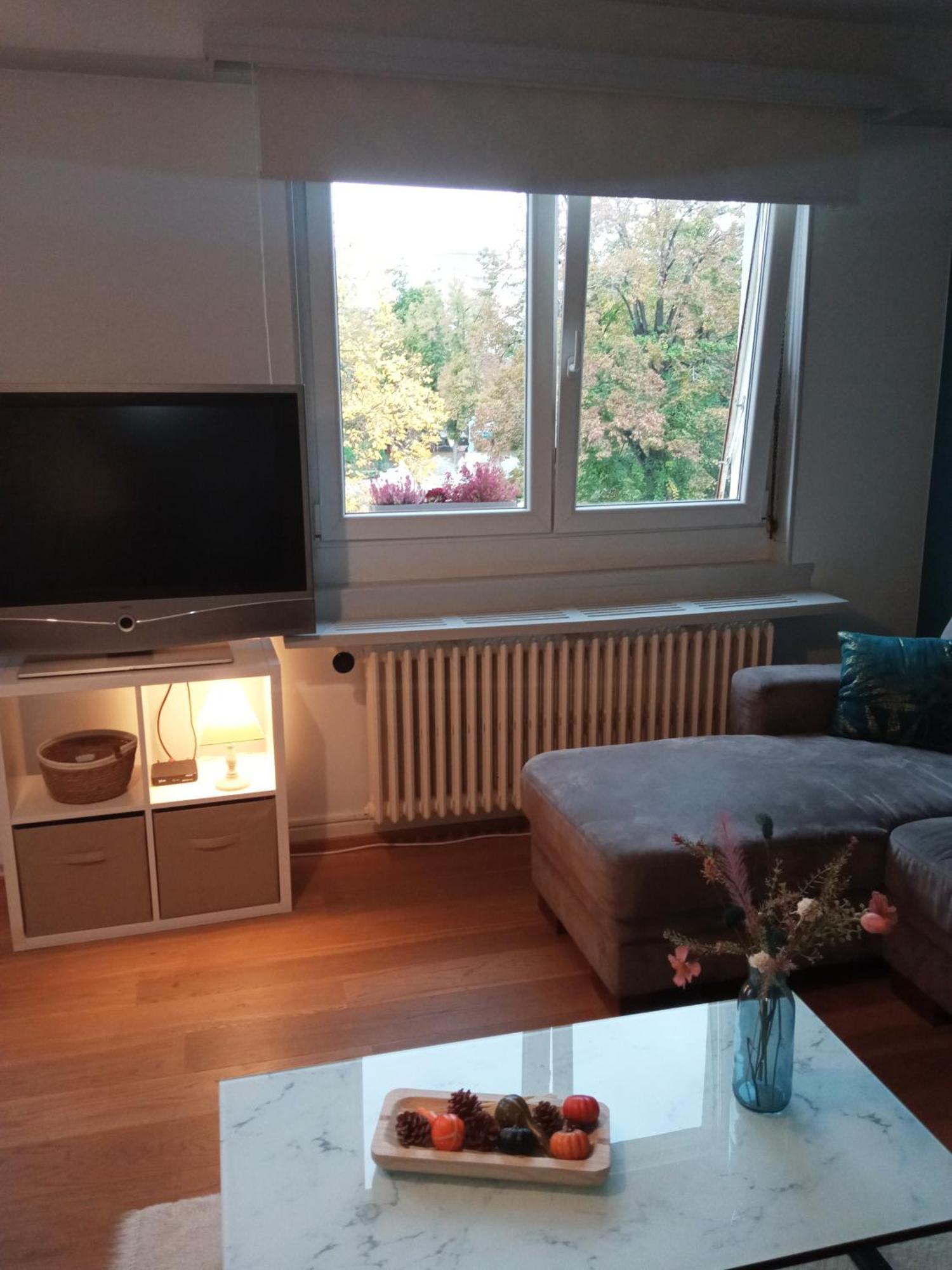 Rare A Colmar - Appartement Champ De Mars Vue Sur Parc - 70M2 - 2 Chambres Экстерьер фото